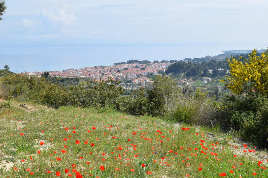 Ausblick Alia Palace