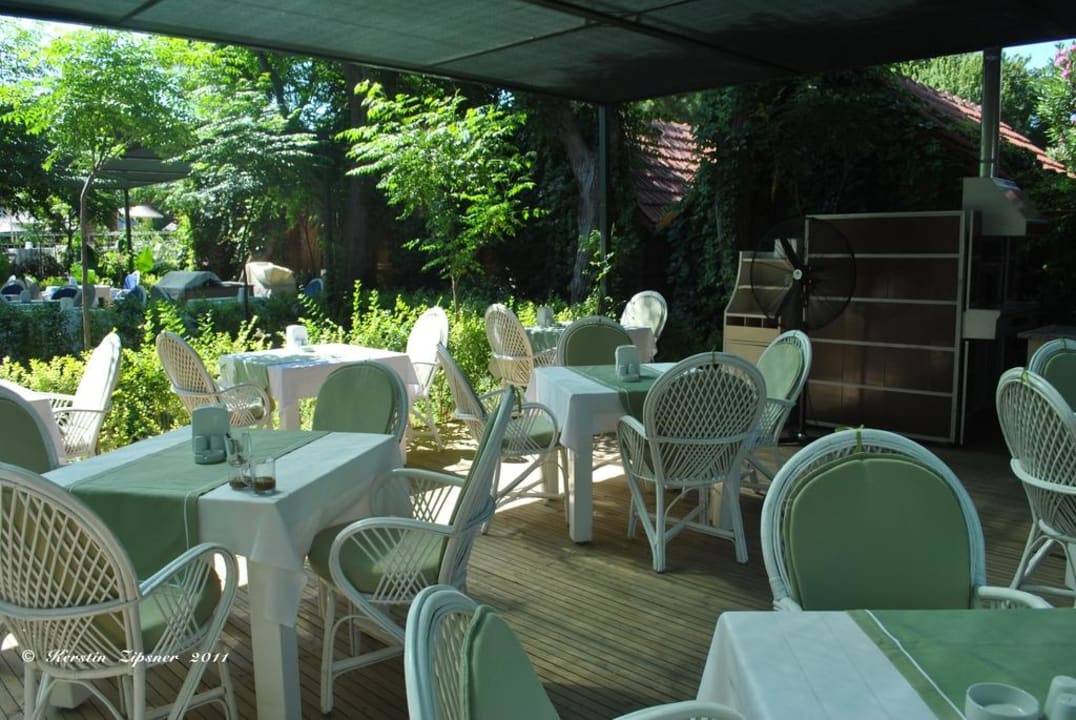 Pizza Can Garden Beach