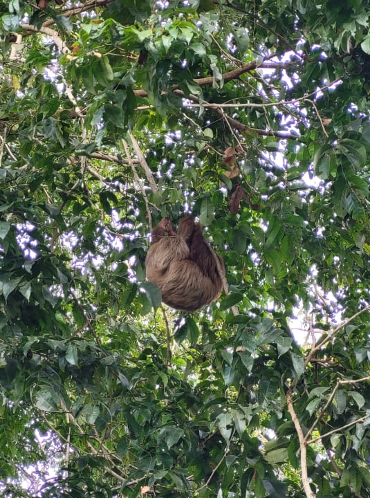 Gartenanlage Le Cameleon Boutique Hotel