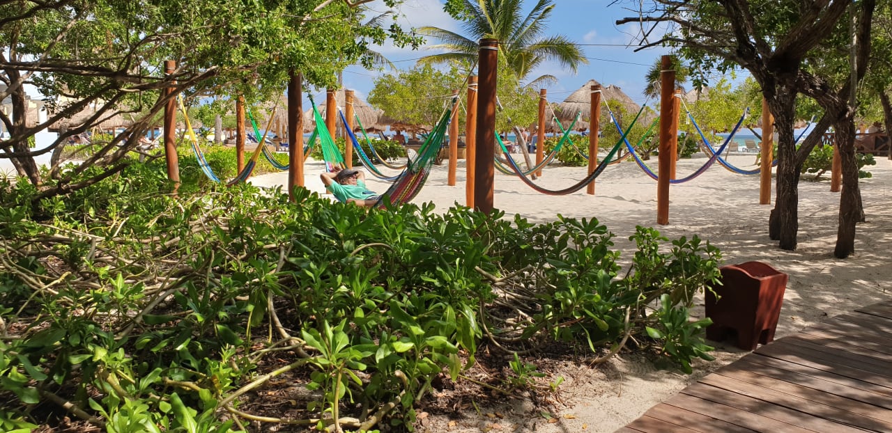 Garten Iberostar Waves Paraiso del Mar