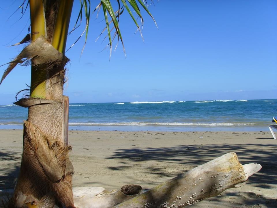 Hotelstrand Cofresi Palm Beach & Spa Resort