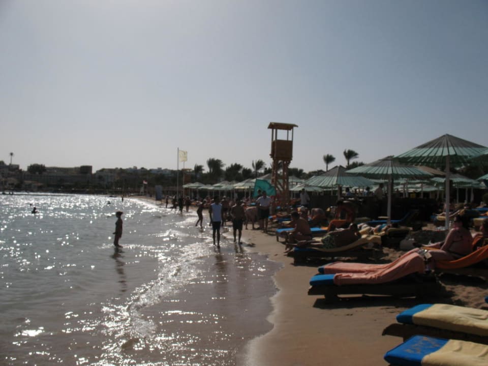 Katastrophal Ghazala Gardens