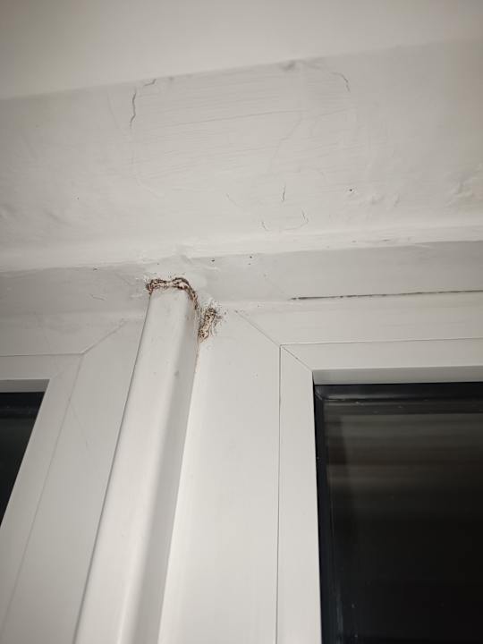 Zimmer Ferienwohnungen Ferienpark Weissenhäuser Strand