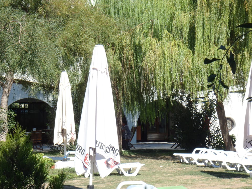 Liegewiese Dogan Paradise Beach