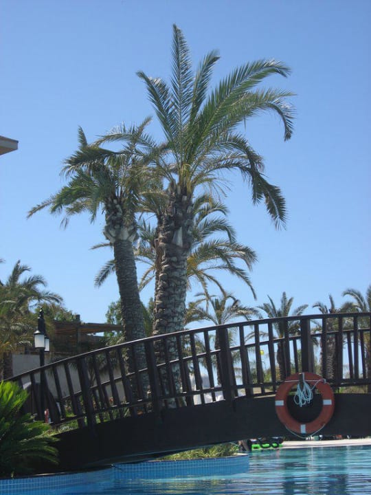 mit schönen Palmen und Brücken Sunis Kumköy Beach Resort Hotel & Spa