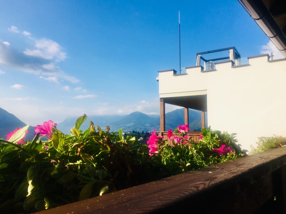 Ausblick Hotel Golserhof