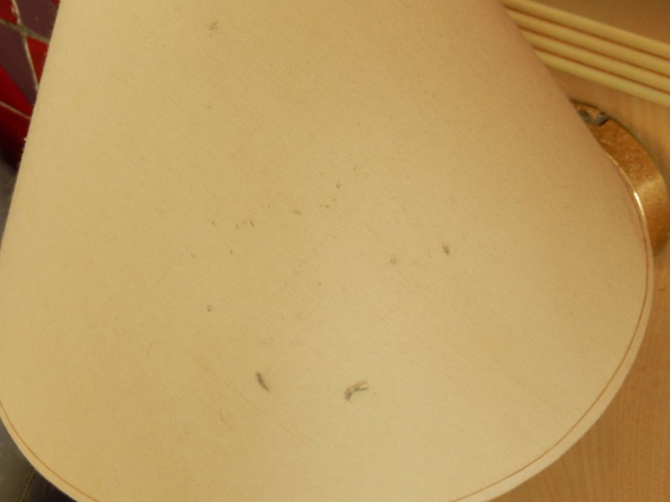 Lampenschirm voller Staub Hotel El Mouradi Djerba Menzel