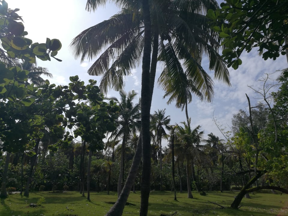 Gartenanlage Adaaran Select Hudhuran Fushi - Premium All Inclusive