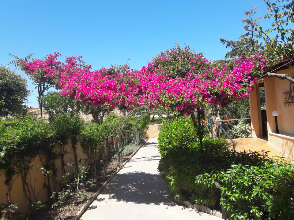 Gartenanlage Anissa Beach & Village