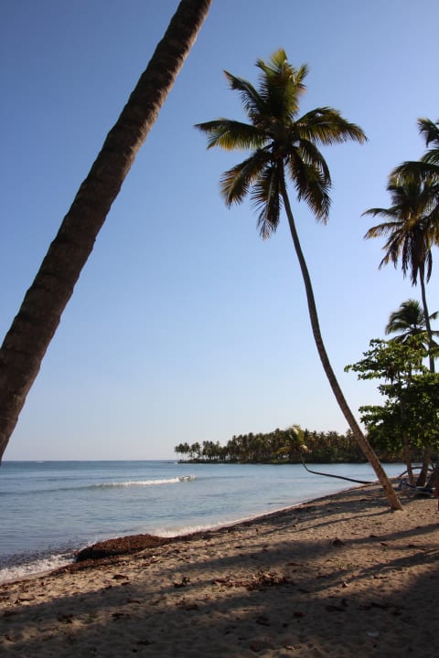 Strand Wyndham Alltra Samana