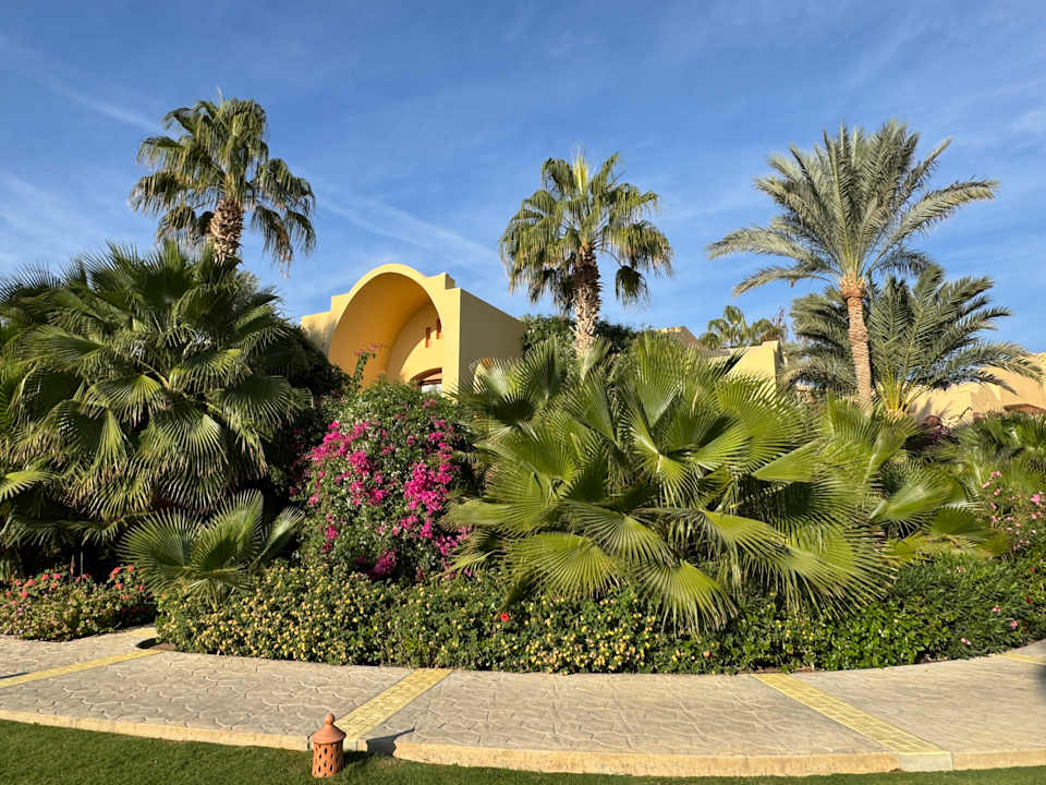 Außenansicht Steigenberger Coraya Beach - Adults only