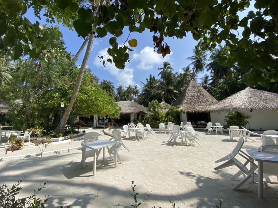 Gastro Biyadhoo Island Resort