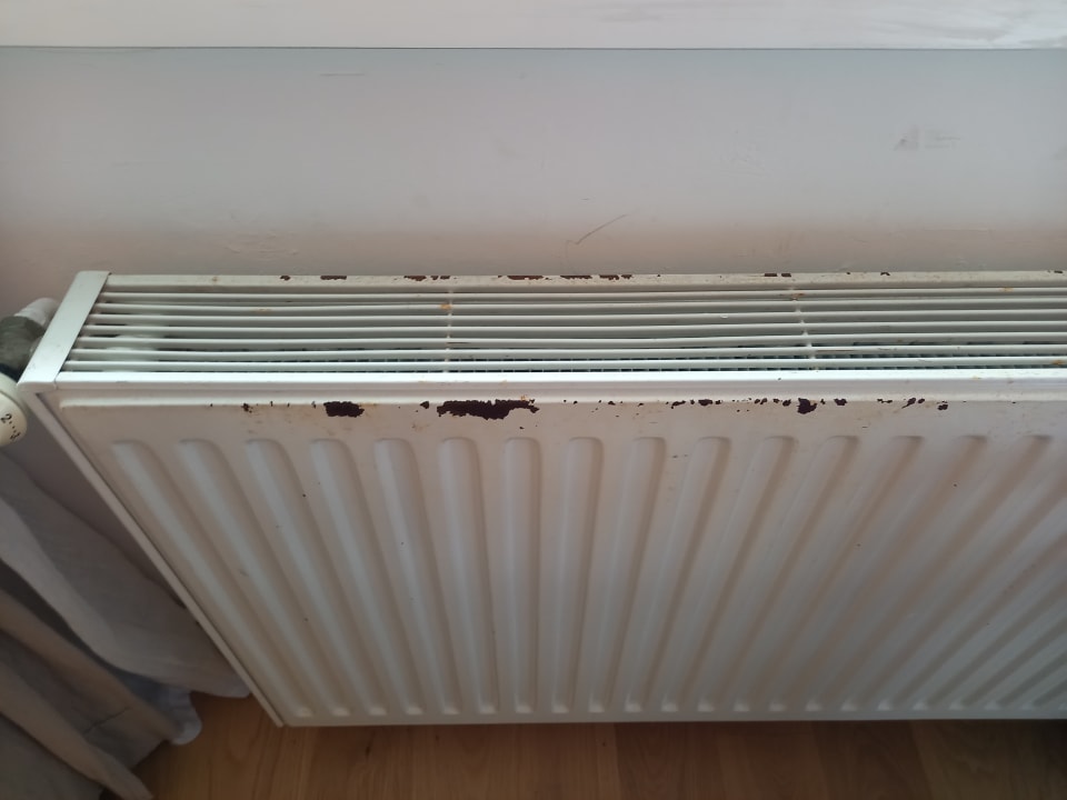 Zimmer Logierhaus am Denkmal