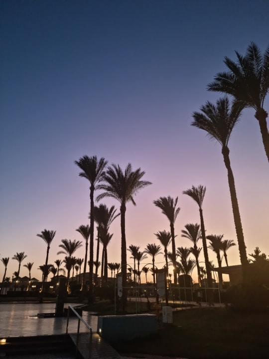 Gartenanlage Cleopatra Luxury Resort Makadi Bay