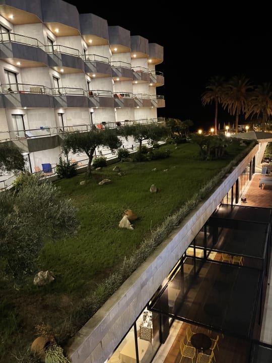 Gartenanlage Hotel Serrano Palace