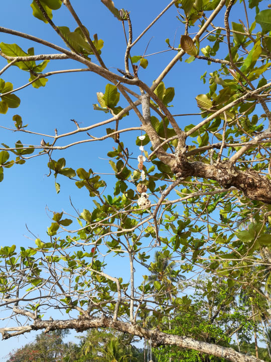 Sonstiges The Briza Beach Resort Khaolak