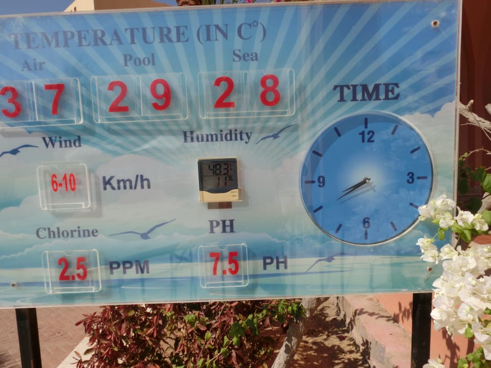 Sonstiges Steigenberger Coraya Beach - Adults only