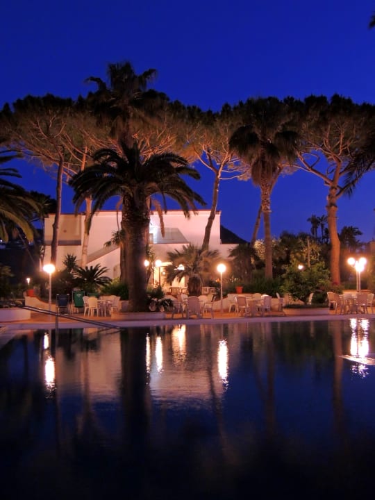 Pool Hotel Terme Royal Palm