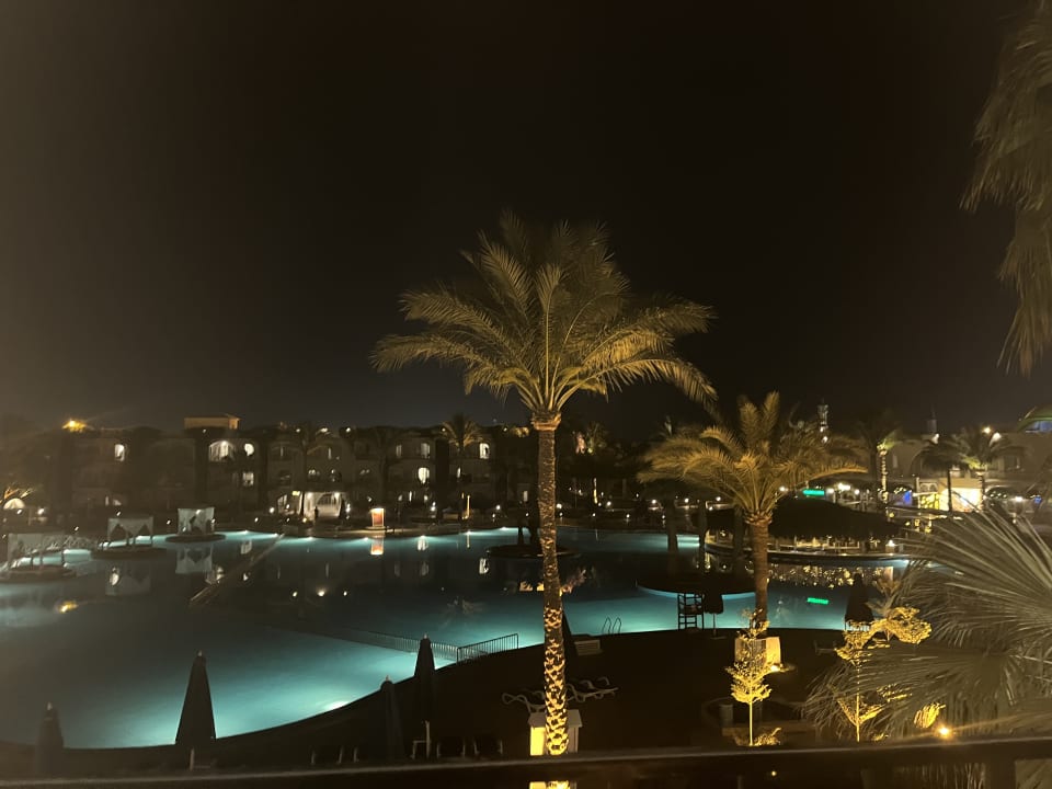 Ausblick Desert Rose