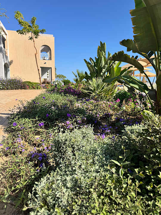 Gartenanlage Lazuli Hotel Marsa Alam