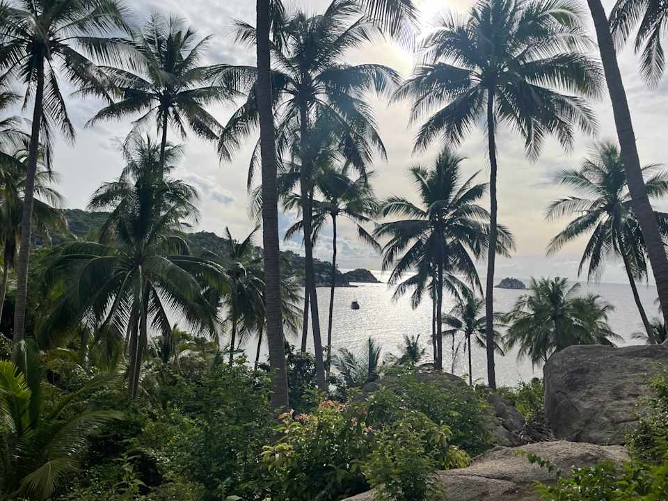 Ausblick Hotel Freedom Beach Resort