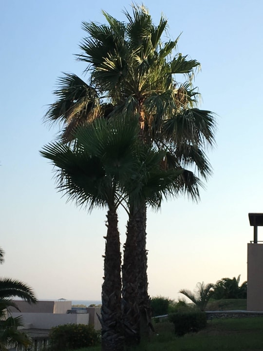 Atlantica Mikri Poli Kos Atlantica Mikri Poli Kos