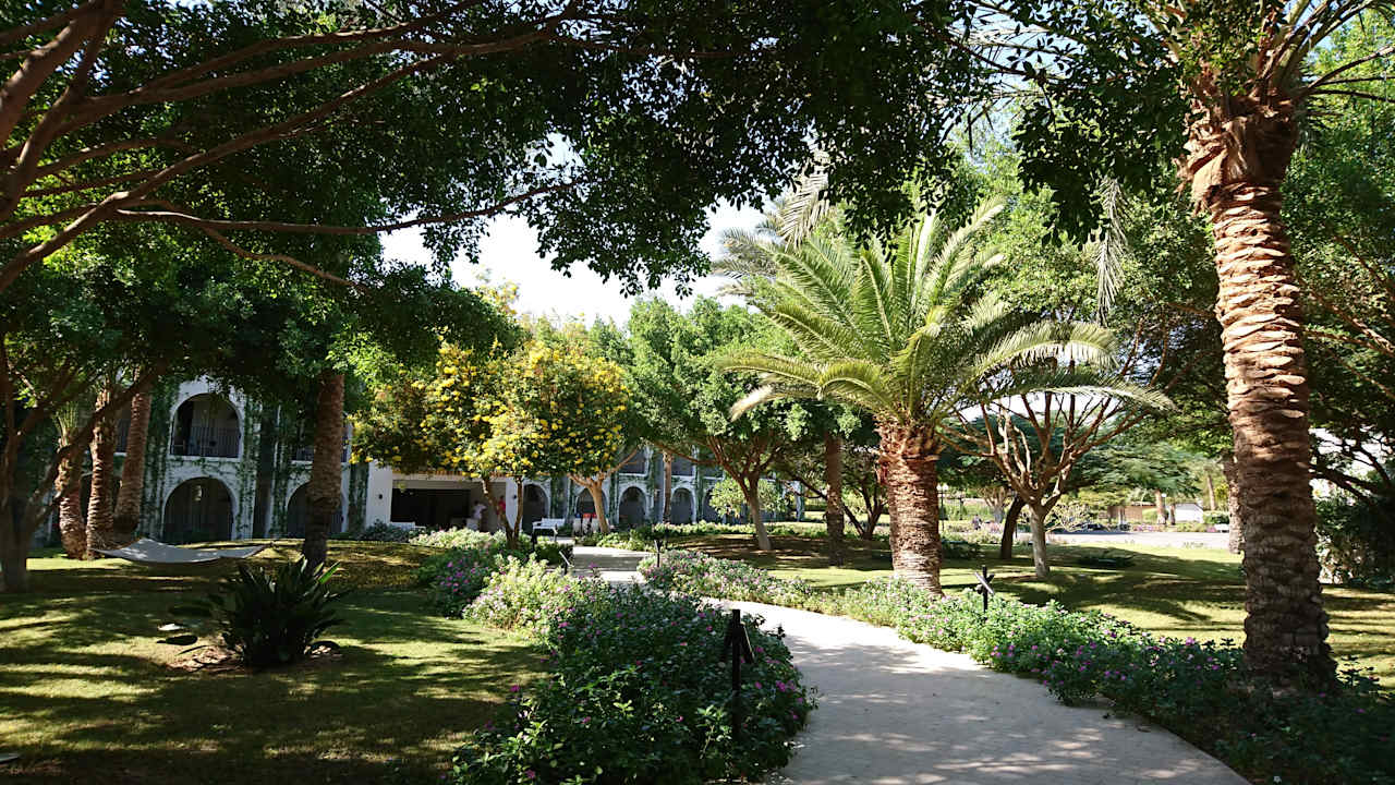 Gartenanlage Desert Rose