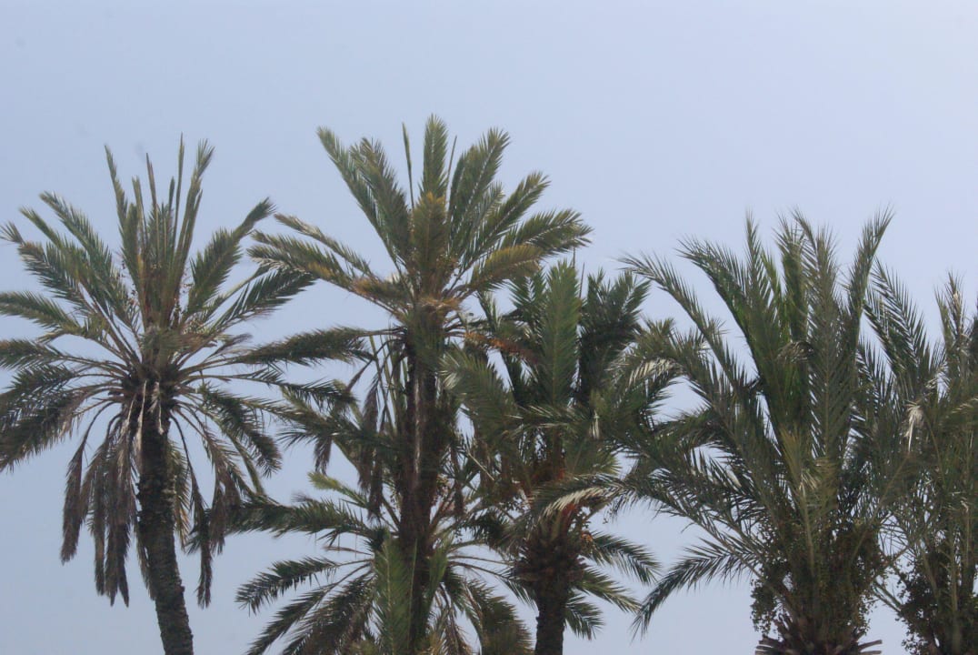  Poolanlage El Mouradi Club Kantaoui