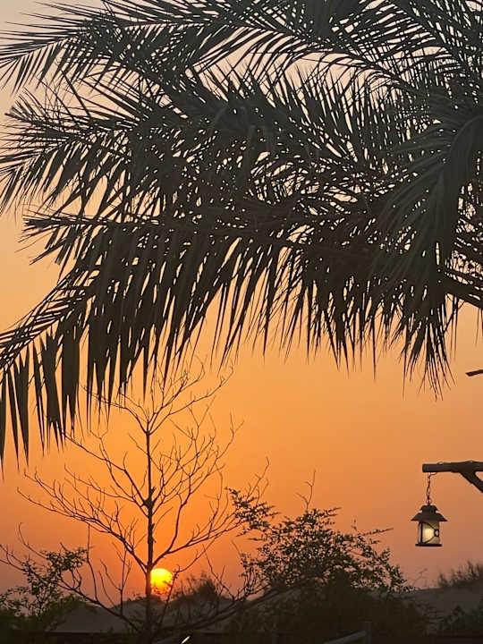 Sport & Freizeit Waldorf Astoria Dubai Palm Jumeirah