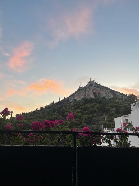 Ausblick The Duke Boutique Suites