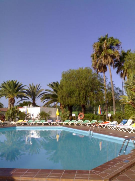 Pool  Canary Garden Club