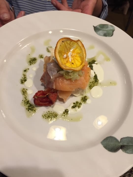 Gastro Acanthus Cennet Barut Collection