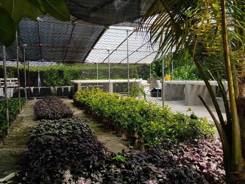 Gartenanlage Reethi Faru Resort