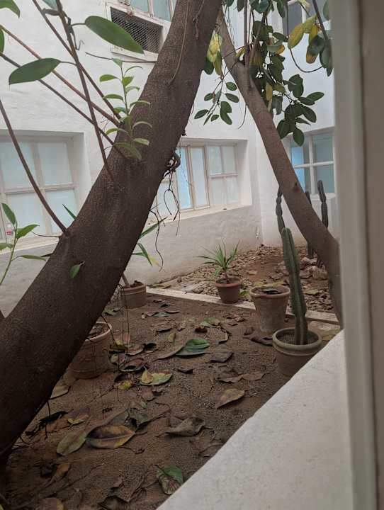 Außenansicht Shalimar Hammamet