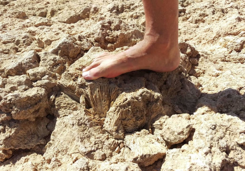 Kiedyś to było pod wodą, Coral Hills Coral Hills Resorts & SPA