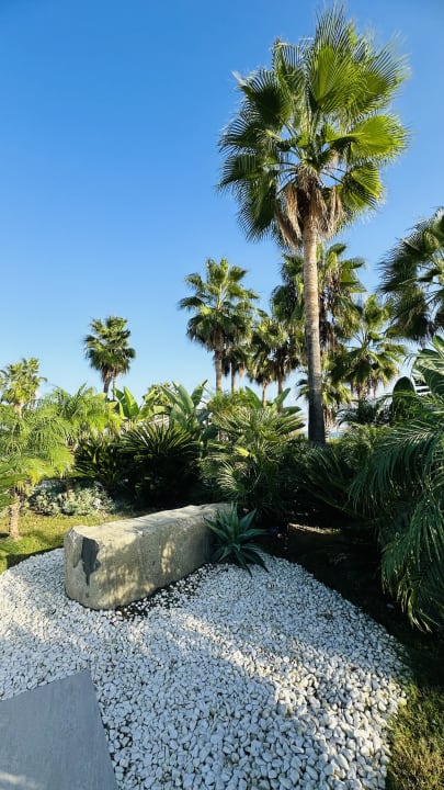 Gartenanlage Paloma Finesse