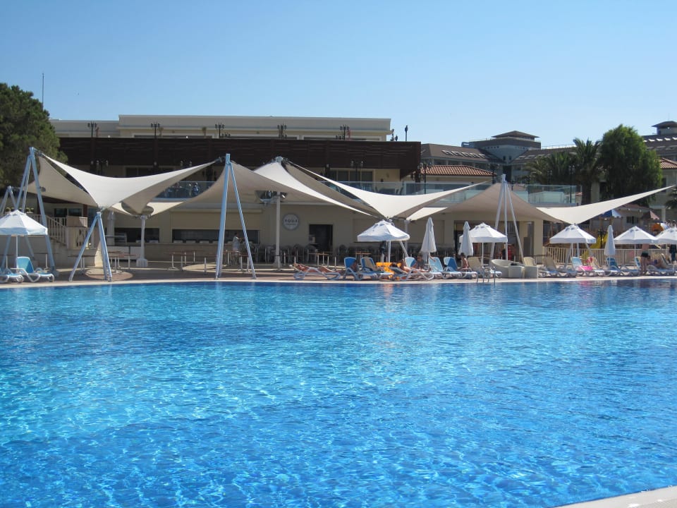 Animationspool Paloma Oceana