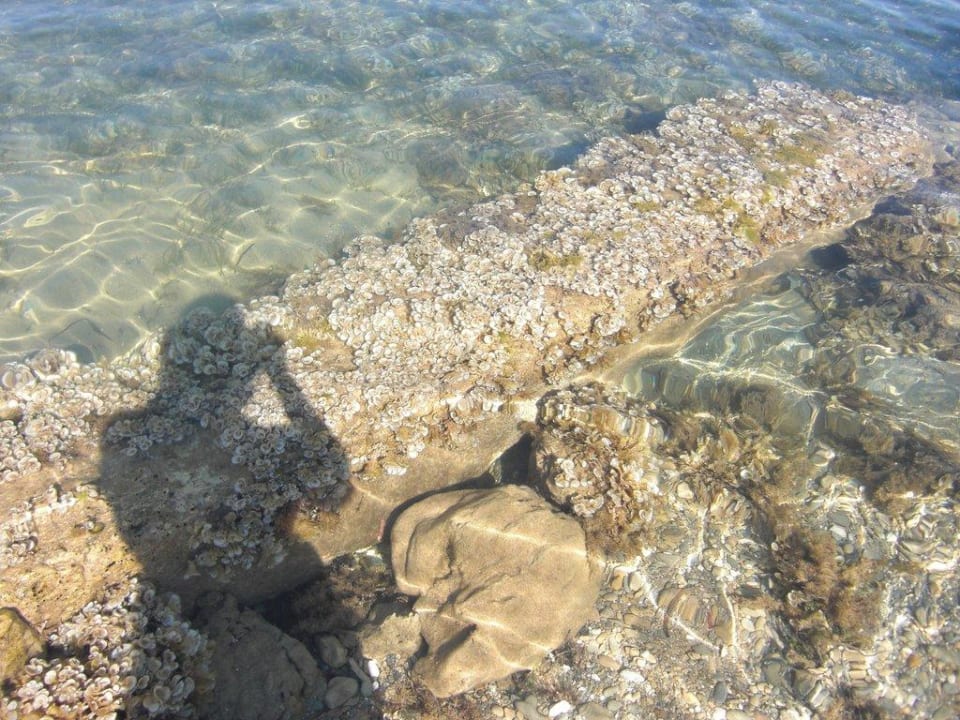 Glasklares Wasser Alexandra Beach Resort & Spa