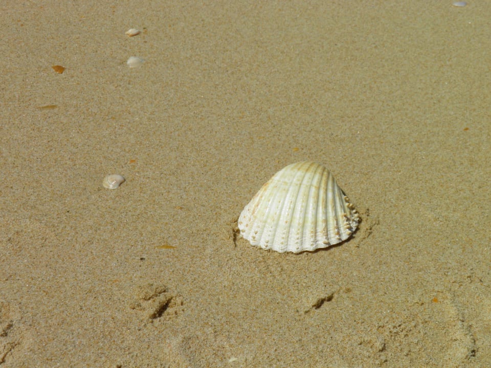 Plaża  Golden Club Cabanas