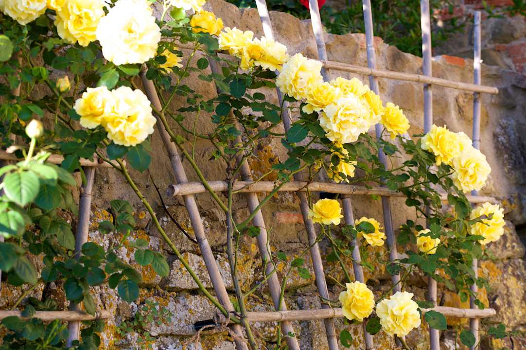 Sonstiges Ventena Vecchia antico frantoio