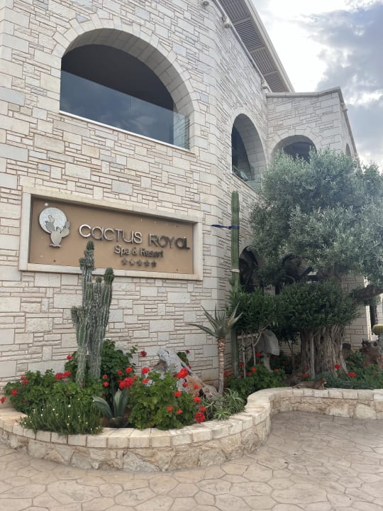 Sonstiges Cactus Royal