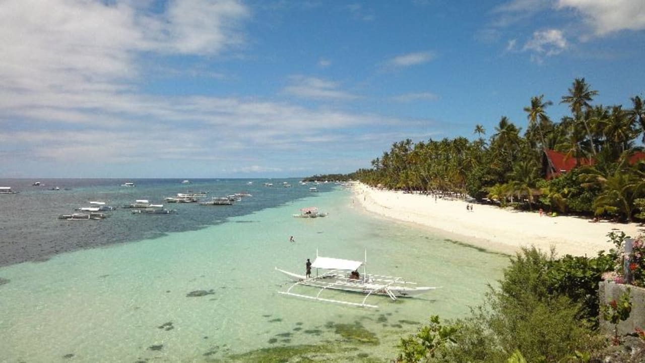 Alona Beach vom Amorita aus gesehen Hotel Amorita Resort