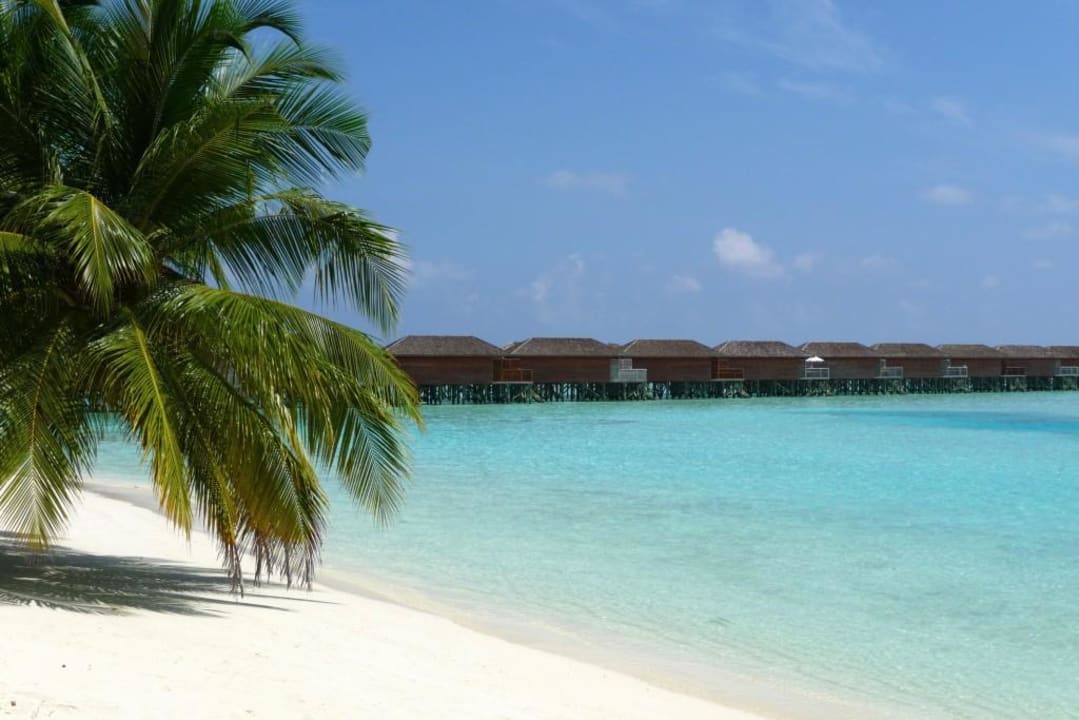 Strand Meeru Maldives Resort Island