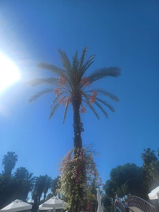 Pool Hotel Terrace Beach Resort