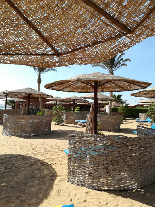 Strand Sea Star Beau Rivage