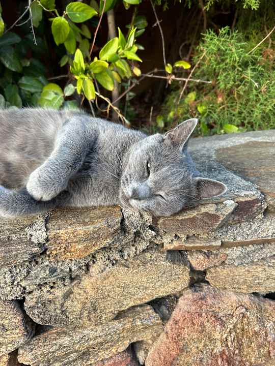 Gartenanlage Budoni Resort