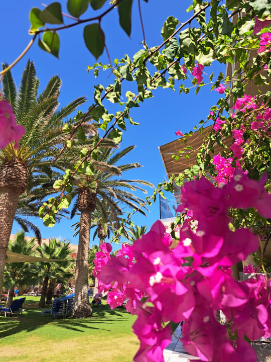 Außenansicht Calimera Sirens Beach