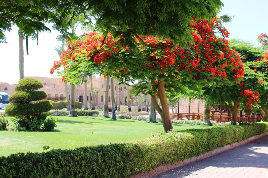 Gartenanlage Mövenpick Resort El Quseir