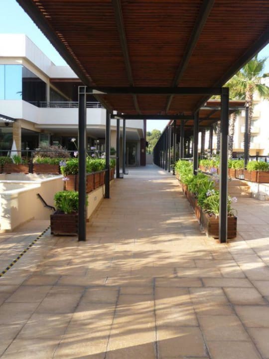 Gang zur Hotelbar Protur Biomar Sensatori Resort