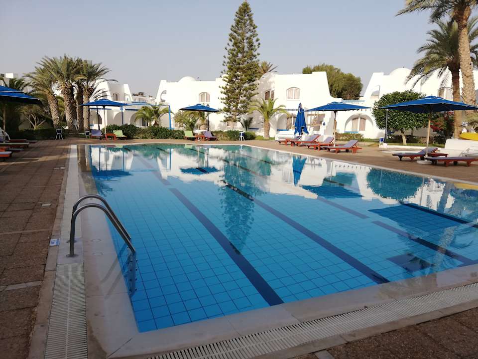 Pool Zenon Hotel Djerba